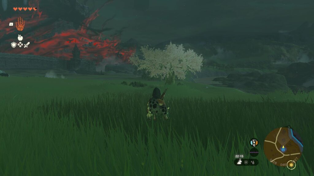 Under the Pink Tree you'll find Konora