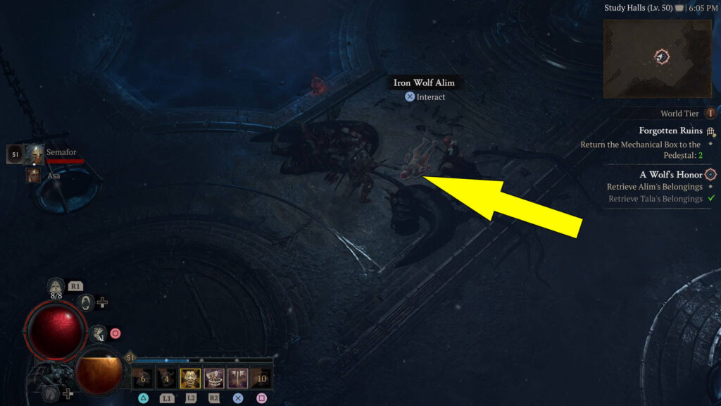 Iron Wolf Alim's belongings are found inside the Forgotten Ruins dungeon