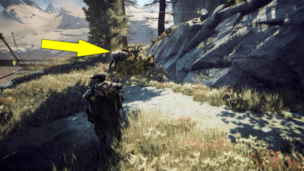 Wildlife Habitat #1 is found south of the Castrum VII settlement