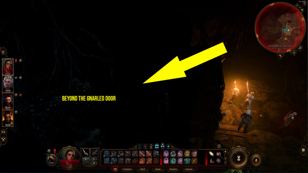 Turn the camera beyond the Gnarled Door to easily pass through.