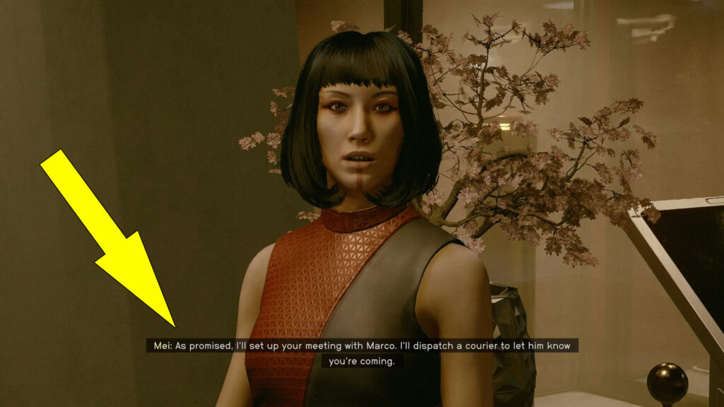 Once you activate the Red Mile Beacon and return safely to the bar, speak with Mei Devine. She will congratulate you on your performance and set up a meeting with Marco as promised.