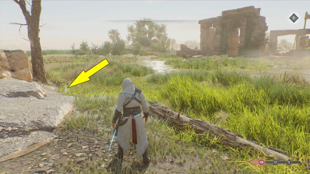 The treasure is buried at the base of a tree.