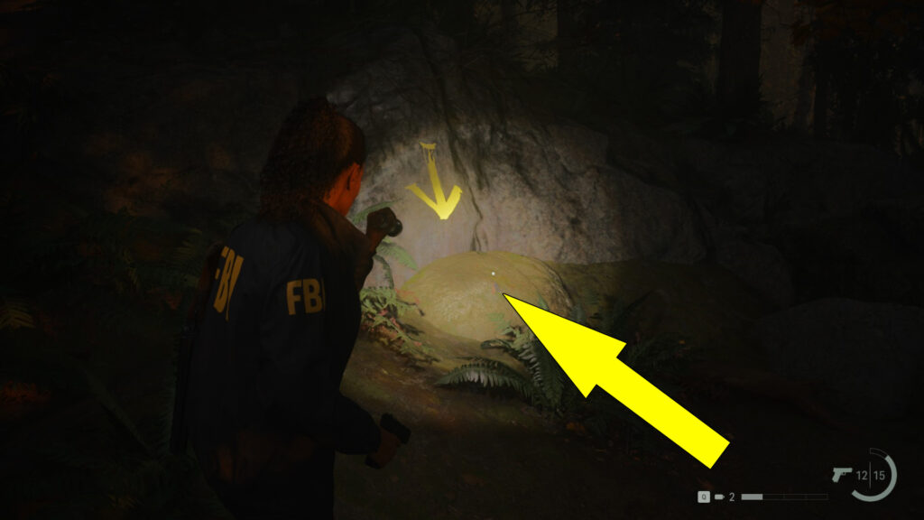 Follow to arrows leading to the Streamside Stash Key.