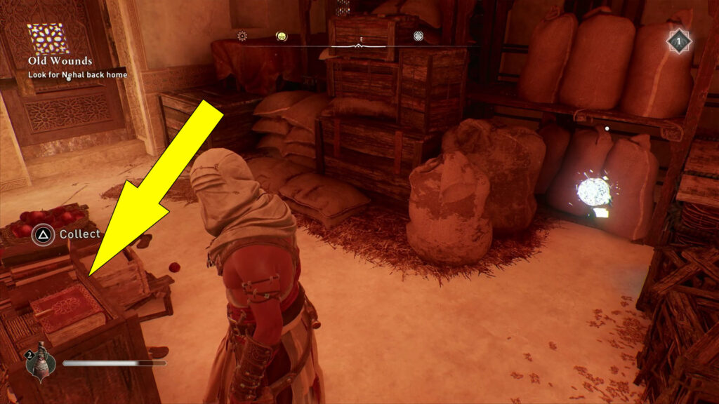 Pick up the Lost Book off the table, near the Historical Site.