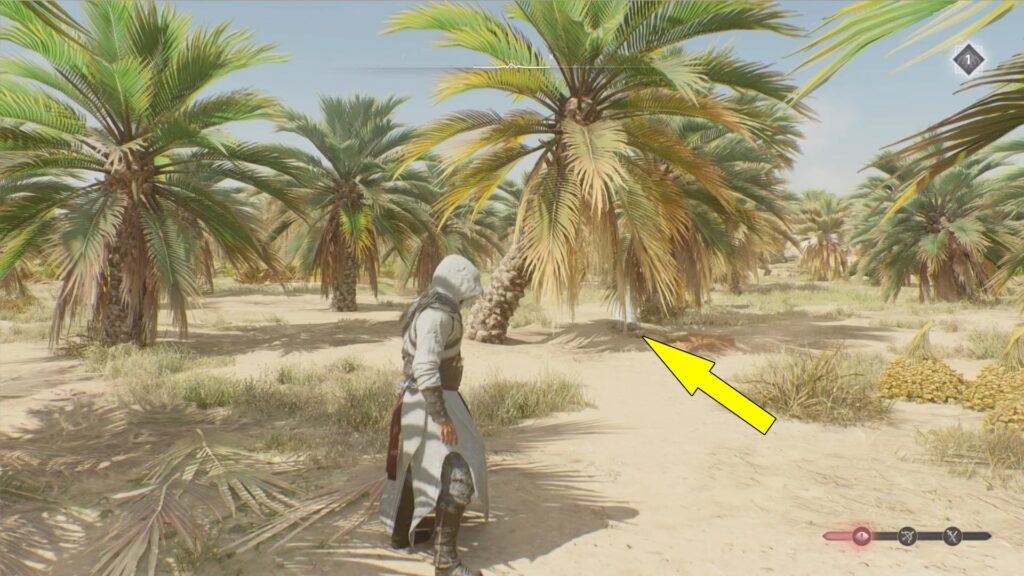 The Joy Beneath Weeping Palms treasure is under a leaning palm tree.