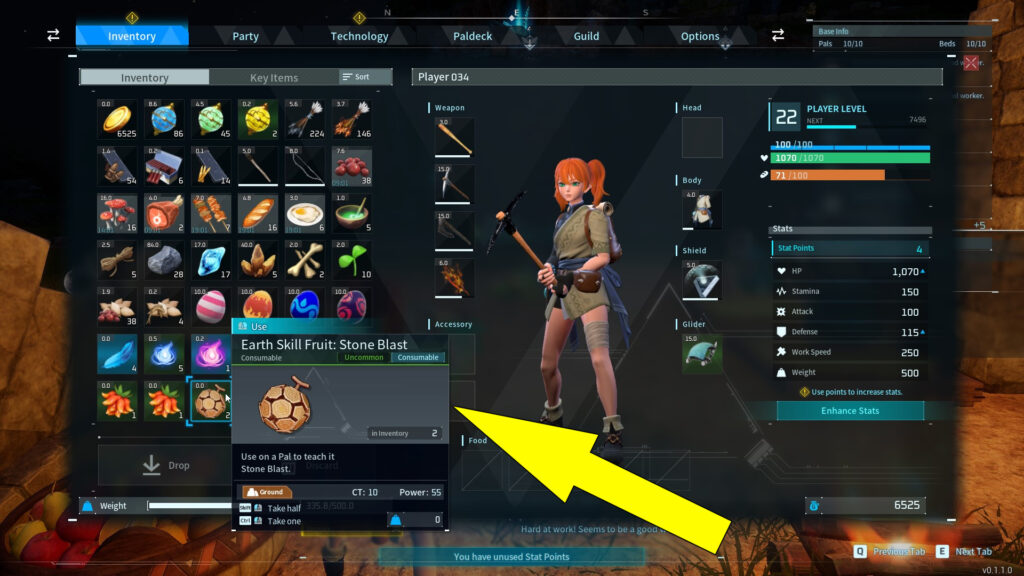 This image shows a Skill Fruit and what skill can be learned.