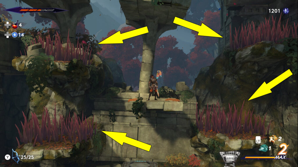Hyrcanian Forest Red Grass Puzzle Location