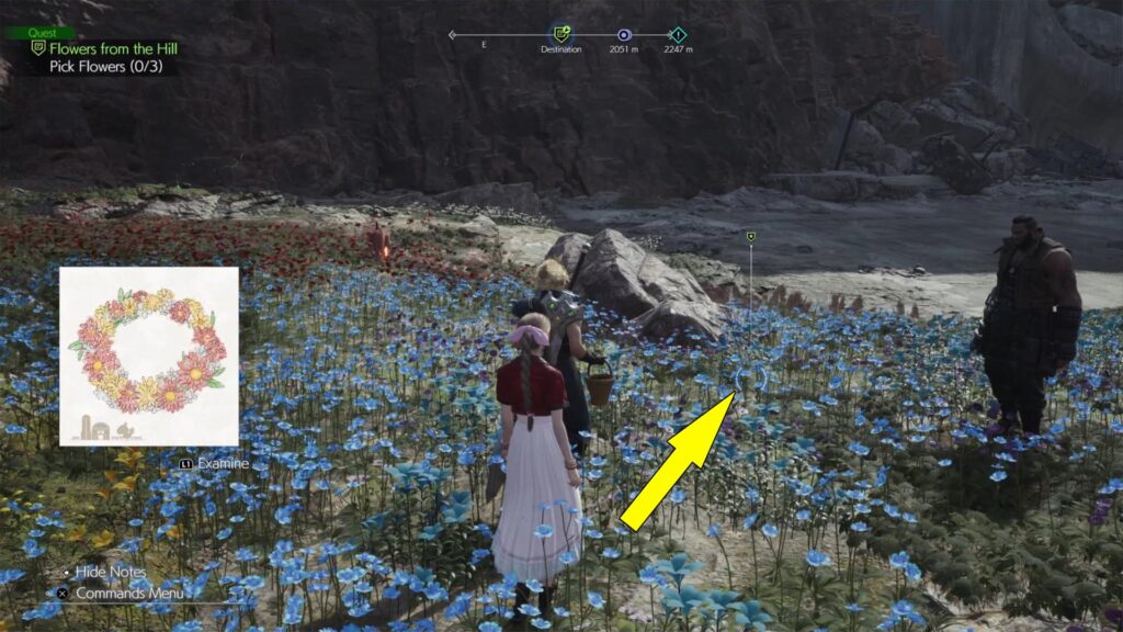 One of Chloe's flowers is the blue forget-me-not.